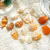 天然海螺贝壳珊瑚沙，水族箱鱼缸造景装饰套装，地中海工艺品创意摆件
