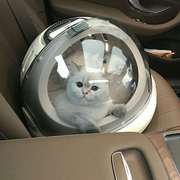 猫窝太空舱猫砂盆便携外出猫狗笼手提透气猫包宠物航空箱猫咪用品