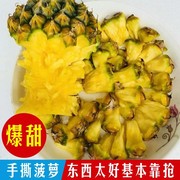 树上熟凤梨海南翠玉香蜜，凤梨牛奶菠萝高品质，当季新鲜热带水果