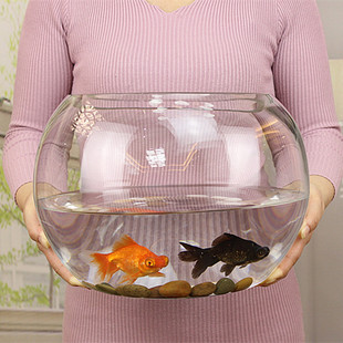 室内鱼缸玻璃圆形装饰简约圆圆柱园型圆鱼缸玻璃大50cm金鱼缸