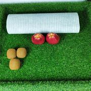 仿真绿草坪水果货架假草皮，超市果蔬防滑垫，摆果品专用绿地毯装饰草