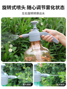 喷水壶浇花压力洒水壶大容量家用浇水专用喷花，园艺养花小喷壶消毒