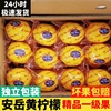 四川安岳黄柠檬新鲜水果奶茶店专用皮薄多汁一级独立包装青柠泡水