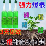 通用型植物营养液室内盆栽，花卉植物专用水培营养液，浓缩免稀释液