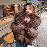 欧洲站羽绒棉服女冬季韩版设计感宽松大毛领小个子棉衣短外套
