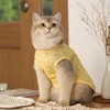 小猫猫咪衣服夏季薄款轻薄透气布偶，英短金渐层春夏季狗狗宠物衣服