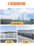 江边道路桥梁防护栏喷塑Q345白钢立交桥两侧灯光景观隔离栏杆