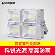 led投光灯100w200w工矿灯，广告灯户外防水室外广场庭院射灯户外