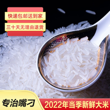 2022泰国长粒香丝苗米煲仔饭籼米