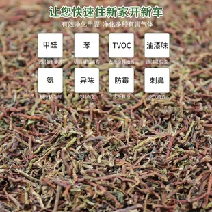 安溪铁观音茶梗10斤 厨房异味除味 新房新车除甲醛茶叶梗枕头原料