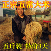 5斤装东北大米黑龙江五常农家自产特级稻花香2号稻米寿司米粥米