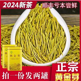 正宗黄金芽2024年新茶，白茶雨前特级安吉高山，茶叶绿茶250g礼盒罐装