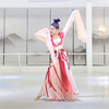 古典舞演出服女盛世宴歌舞蹈，服中国风水袖汉唐服装，大摆裙成人飘逸
