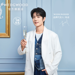 结婚礼wedgwood王薇薇(王薇薇)verawang，爱之结绳香槟杯高脚杯酒杯