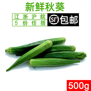 秋葵500g 新鲜蔬菜沙拉食材 水果黄秋葵 六角羊角豆 5件