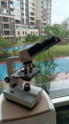 江西凤凰光学双目生物显微镜XSP30中小学1600倍科学实验细胞观察