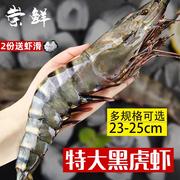 黑虎虾超大新鲜大虾老虎，虾鲜活速冻特大基围虾，海鲜竹九节虾斑节虾
