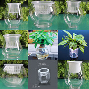 透明水培塑料花瓶绿萝水生植物植物，容器室内桌面，摆放花盆多个大小