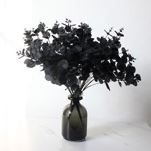 仿真黑色尤加利花玫瑰花创意拍摄道具ins北欧金钱叶假花把束装饰