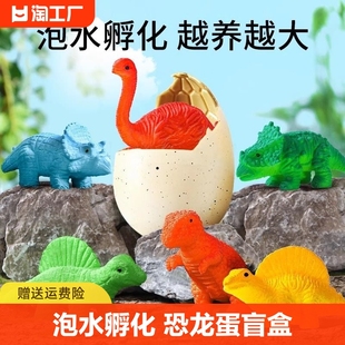 泡水孵化恐龙蛋玩具盲盒破壳膨胀动物仿真模型，男女孩儿童大号迷你