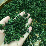 2023年新茶安溪茶叶铁观音高山乌龙茶浓香型茶叶原生态
