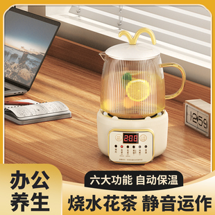 煮茶器一人用迷你养生壶小型办公室煮茶壶家用玻璃烧水电茶炉