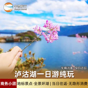 泸沽湖一日游云南丽江旅游环湖，含接送门票，商务车小团纯玩跟团游