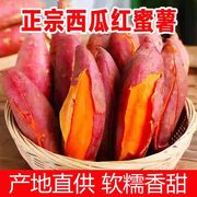 西瓜红蜜薯10斤应当季农家自种地瓜糖心板栗番薯新鲜蔬菜整箱