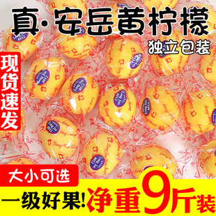 四川安岳黄柠檬新鲜水果当季一级5斤皮薄整箱甜青香柠檬