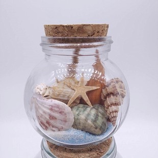 北海天然贝壳海螺许愿瓶海滩夜光漂流瓶或空玻璃瓶自装礼物纪念品