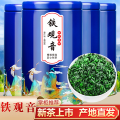 2023新茶安溪铁观音浓香罐装100g