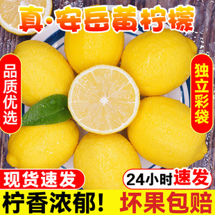 四川安岳黄柠檬(黄柠檬，)新鲜水果皮薄当季整箱，香水甜青柠檬小金桔特产