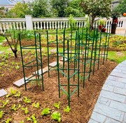 西红柿番茄攀爬支架黄瓜架爬藤植物花卉茄子架豆角种菜架支柱