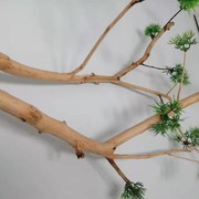 桃木干树枝实木装饰艺术客厅，原木树杈干枯树枝造型天然本色枯木枝