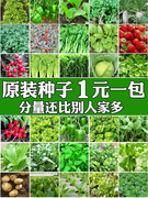 蔬菜种子四季播种阳台农家盆栽，香菜菠菜生菜，韭菜小葱草莓籽孑大全