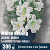 波兰 莫依斯·基斯林 Moise Kisling 静物花卉 人物 风景油画素材