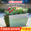 。太阳花盆长方形塑料花盆，加厚耐用阳台蔬菜，种植盆种菜专用箱种菜