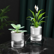 多肉绿萝植物懒人自动吸水小花盆，设计感透明水培器皿塑料玻璃高级