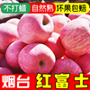木西果园烟台苹果水果，新鲜山东栖霞红富士3510斤整箱当季