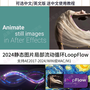 ae插件静态图片局部流动效果，动画loopflow插件，1.3中文汉化winmac