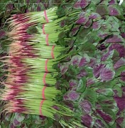 皮筋捆菜专用橡皮筋加宽绑菜橡皮筋绑蔬菜用红色橡皮筋红色橡皮圈