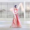 一梦惊鸿舞蹈服盛世，宴歌演出服中国风成人飘逸汉唐水袖古典舞服装