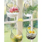 悬挂玻璃花瓶壁挂花瓶，多肉植物花瓶，透明圆形水培吊瓶婚庆用品