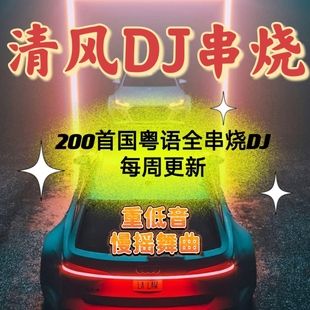 2024清风DJ打碟实录串烧  全粤语 国粤语 高音质重低慢摇舞曲