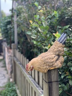 仿真动物鸡摆件树脂大公鸡母鸡模型户外花园装饰 庭院 农家乐装饰