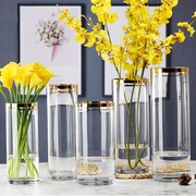 北欧现代描金边直筒玻璃花瓶富贵竹插花百合花器家具装饰摆件