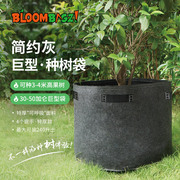 简约灰巨型种树袋 230升超大加厚口径加仑花盆花卉盆栽种植袋