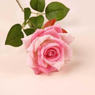 单支仿真月季花假花客厅蔷薇装饰餐桌摆件花干花花束摆设玫瑰花艺