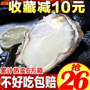 乳山生蚝鲜活牡蛎海鲜水产贝类海蛎子肉大带壳新鲜 5斤10斤