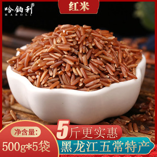 2023新东北特产黑龙江五常红米香米熬粥5斤大糙米粗杂粮食健身饭